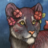 Tigon Blooms